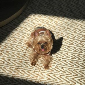 Meet your Posher, Lisa